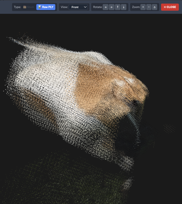 3D pelvic scan